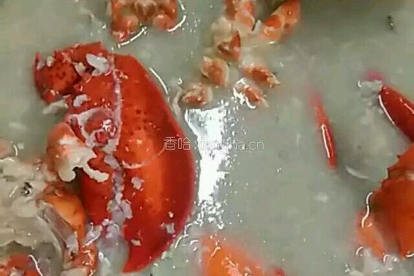 龙虾粥的做法图解5