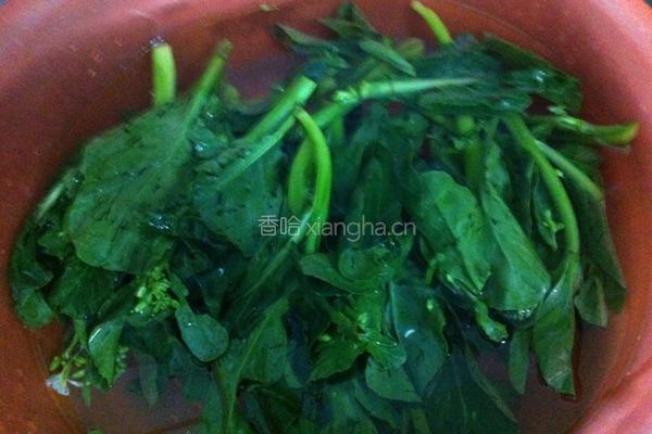 芥蓝腊肠炒饭的做法图解4