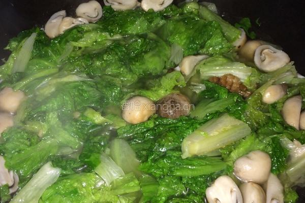 生菜草菇汤