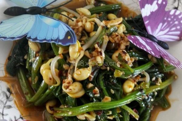 凉拌菠菜豆芽的做法图解5