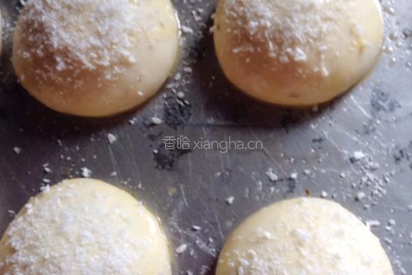 椰蓉小餐包的做法图解9