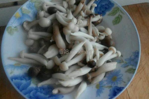 肉片烧双菇的做法图解3