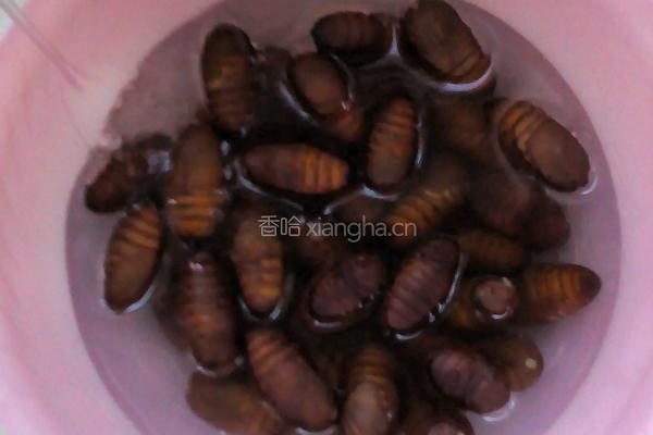 家常炒蚕蛹的做法图解1
