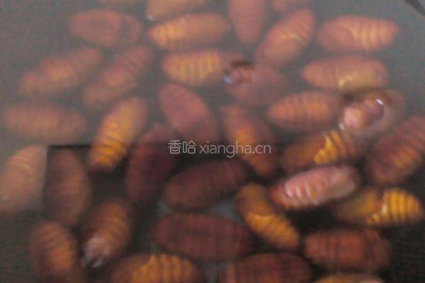 家常炒蚕蛹的做法图解5