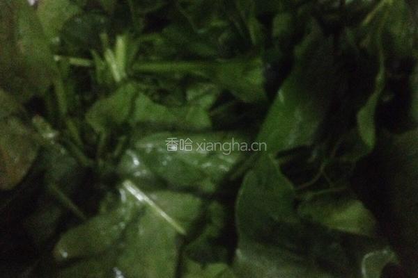 肉末菠菜粥的做法图解8