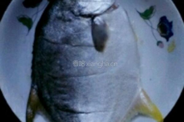 红烧鲳鱼的做法图解1