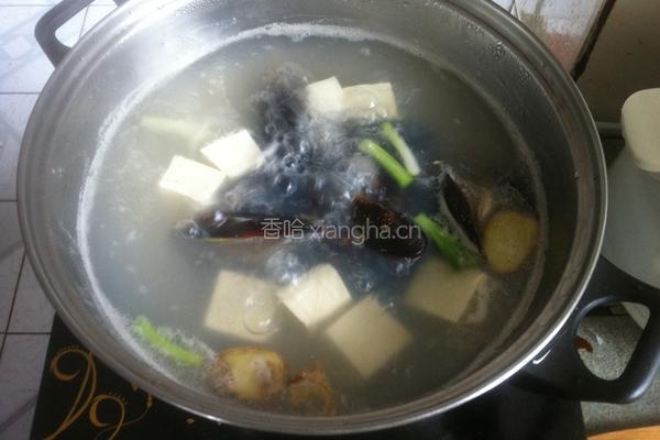 淡菜豆腐汤的做法图解5