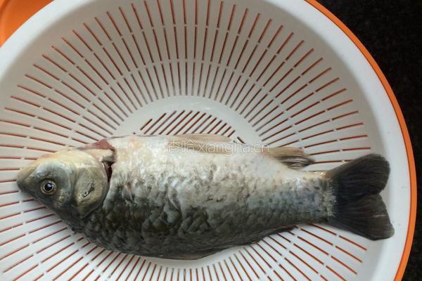 鲫鱼鸡蛋羹的做法图解1