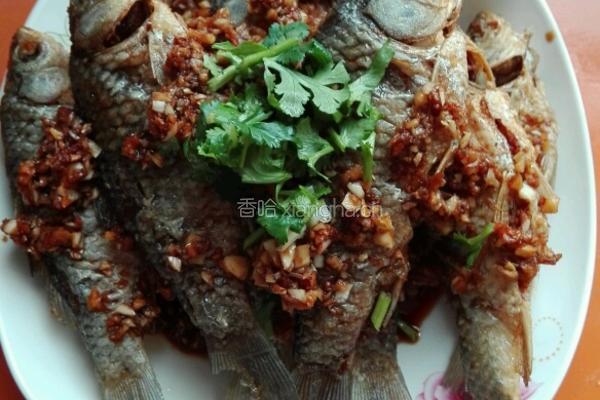淋炸鲫鱼的做法图解10