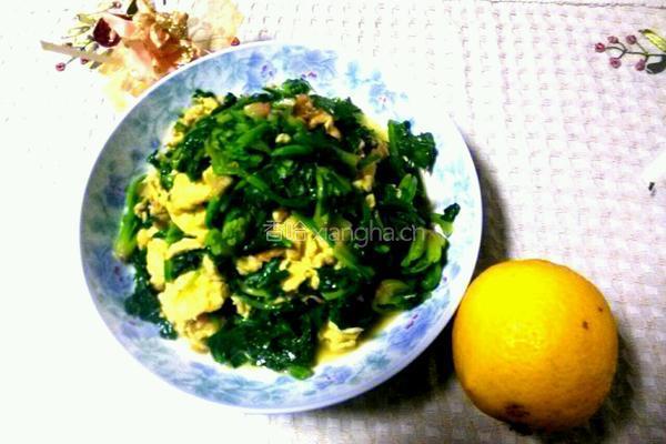 鸡蛋炒菠菜的做法图解9