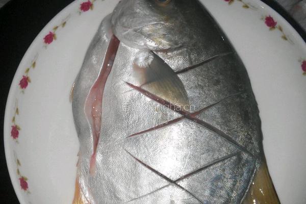 清蒸金鲳鱼的做法图解1