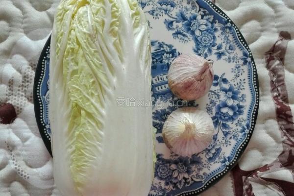 蒜蓉蒸娃娃菜的做法图解1