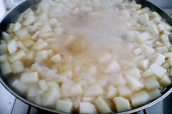 牛肉炖萝卜的做法图解8
