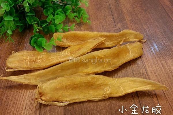 鱼胶炖海参的做法图解1