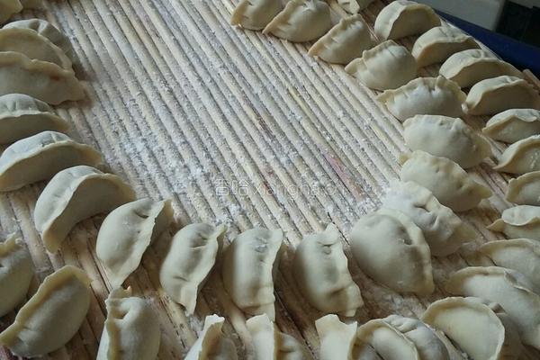 孜然羊肉饺子的做法图解10