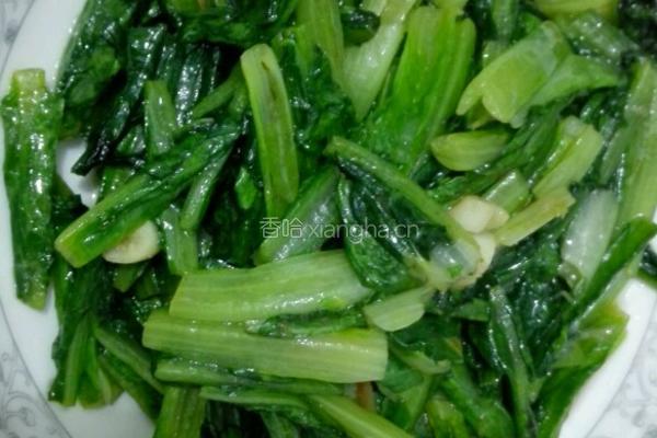 蒜蓉油麦菜