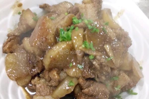 家常萝卜炖肉。的做法图解5