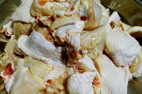沧州特色麻辣火锅鸡的做法图解2