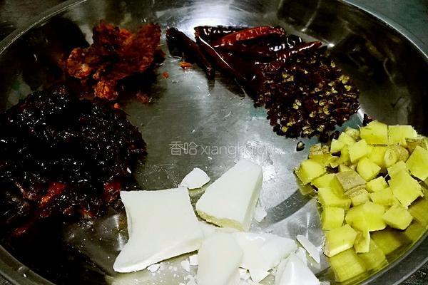 沧州特色麻辣火锅鸡的做法图解3