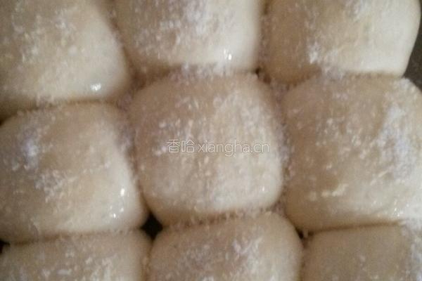 椰蓉蜂蜜小餐包的做法图解9