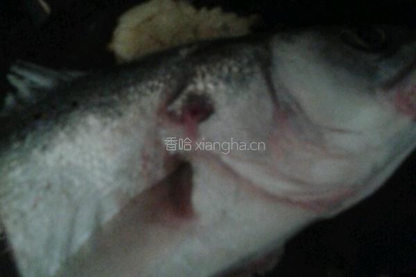鱼头汤的做法图解2