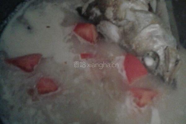 鱼头汤的做法图解5