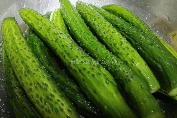 腌乳瓜的做法图解1