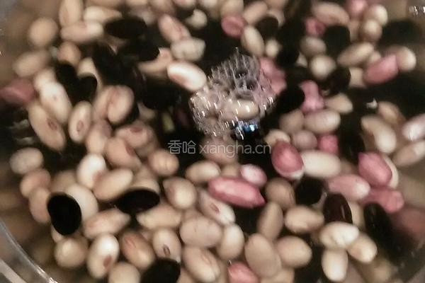 五谷豆浆的做法图解1