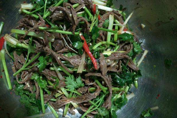 赛狗肉的做法图解6