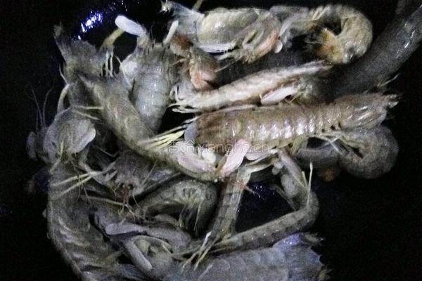 蒜香皮皮虾的做法图解4