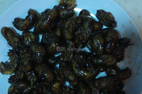 香酥金蝉的做法图解5