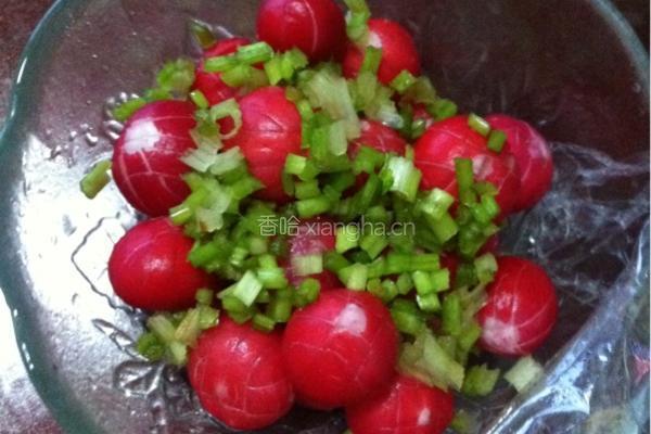 爽口小萝卜的做法图解2
