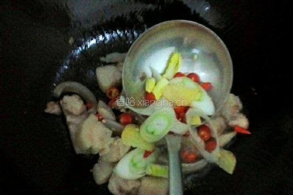 猪肉炖粉条（香辣味）的做法图解5
