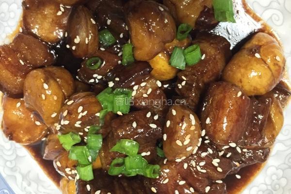 栗香红烧肉的做法图解4