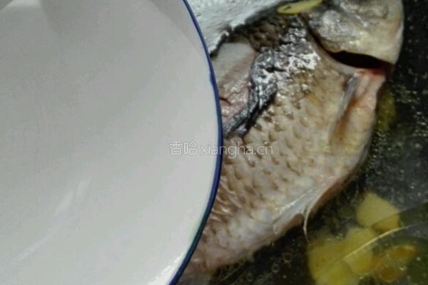 鲫鱼萝卜汤的做法图解7