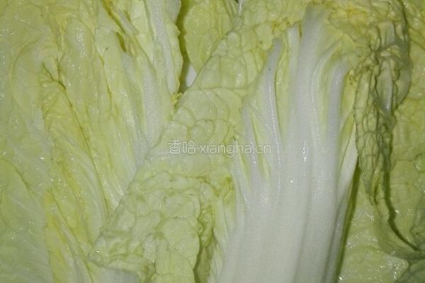 素菜牛肉砂锅的做法图解22
