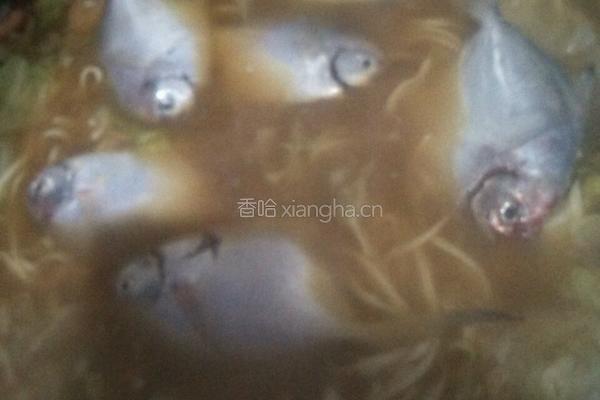 海鲜手打面的做法图解9