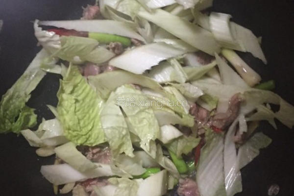 白菜羊肉汤的做法图解7
