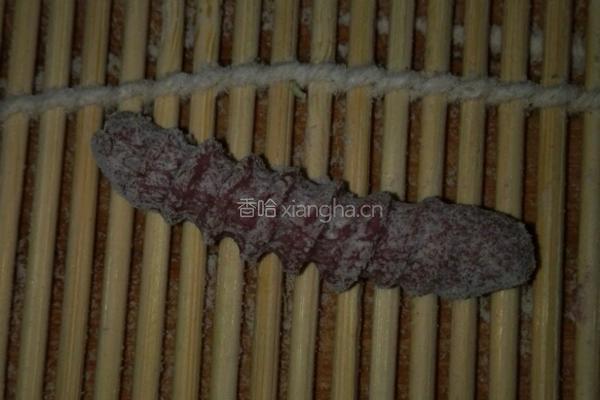 彩色虫虫面的做法图解11