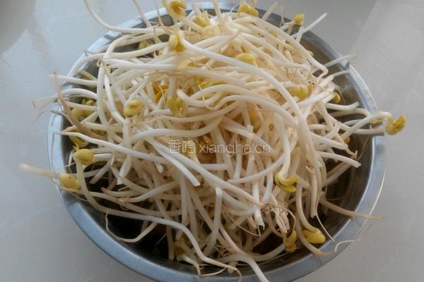 凉拌黄豆芽的做法图解1