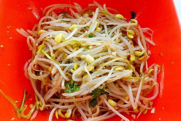 凉拌黄豆芽的做法图解9