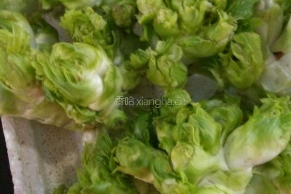 清炒儿菜的做法图解1
