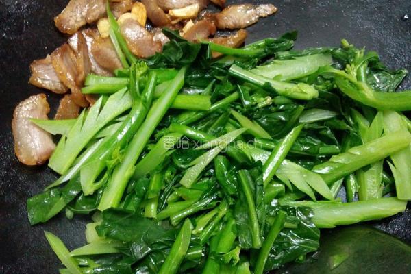 腊肉炒芥兰的做法图解10