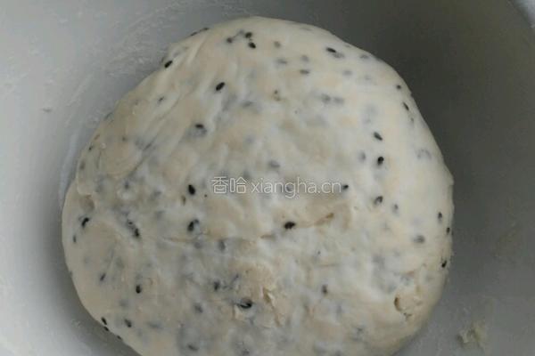 黑芝麻发面馒头的做法图解5