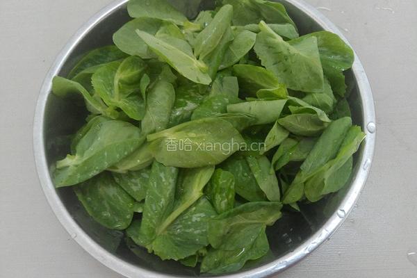 豆苗煮方便面的做法图解2