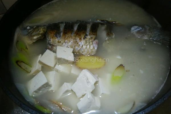 鲫鱼豆腐汤的做法图解4