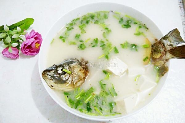 鲫鱼豆腐汤的做法图解5