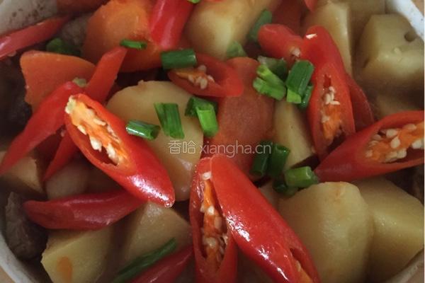 牛肉焖土豆的做法图解6