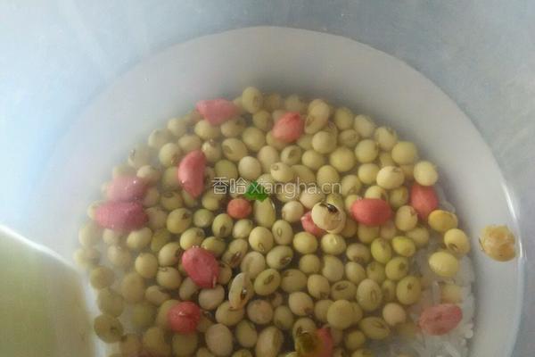 花生米香豆浆的做法图解3