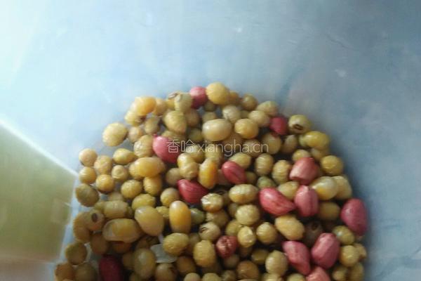 花生米香豆浆的做法图解4
